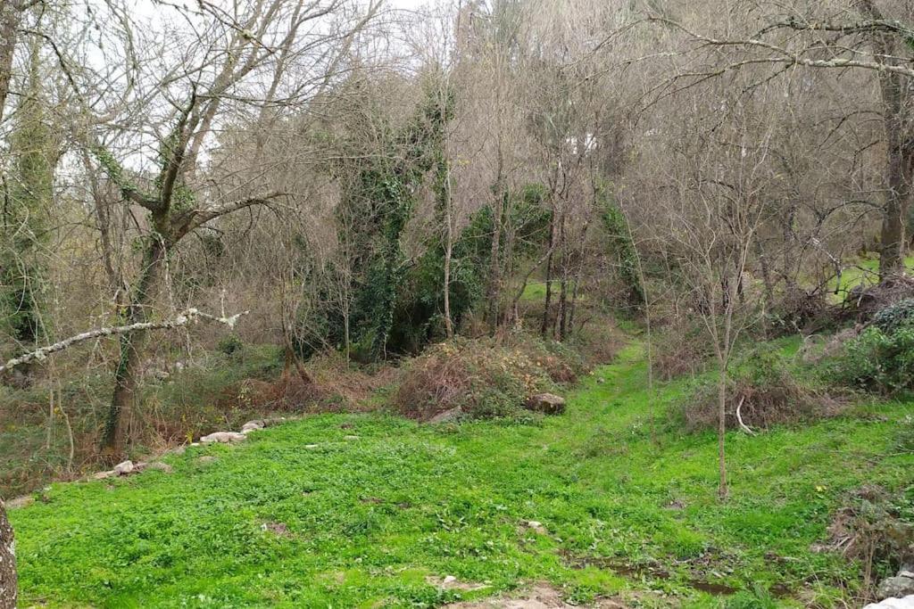 Molino Mellado Villa Casavieja Dış mekan fotoğraf