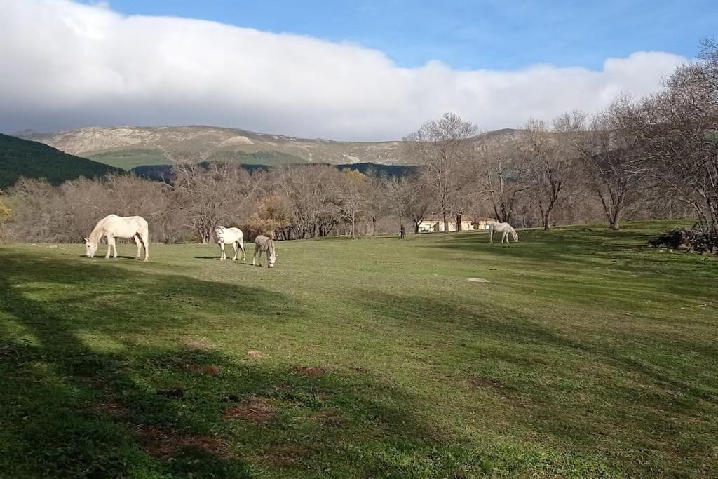 Molino Mellado Villa Casavieja Dış mekan fotoğraf